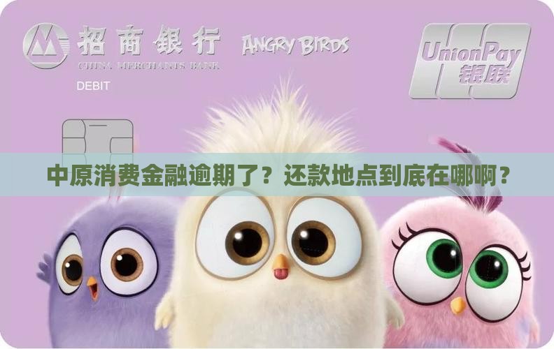 中原消费金融逾期还款地点有哪些