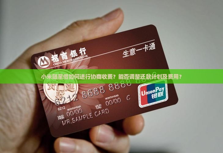 小米随星借能不能协商收费