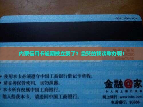 内蒙信用卡逾期立案后如何处理