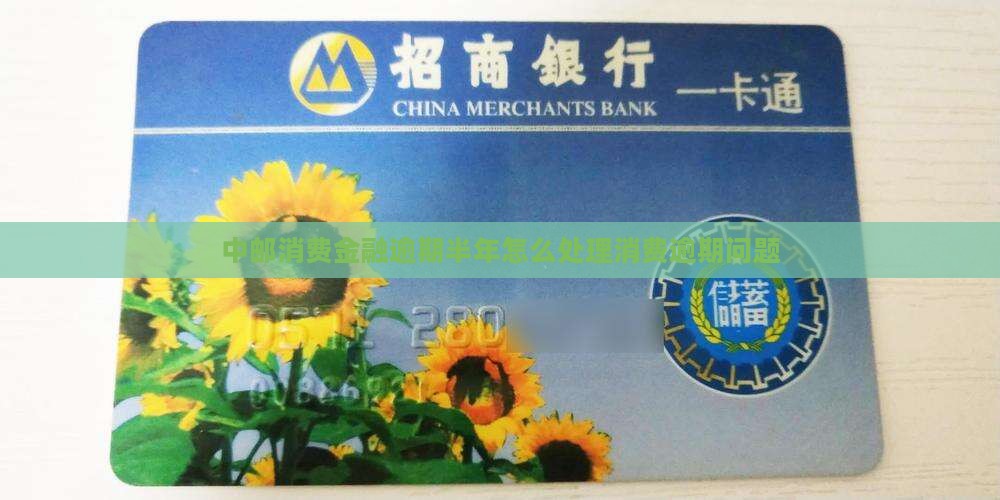 中邮消费金融逾期半年如何处理