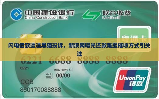 丽水皆彩催收闪电借款有还的方式吗