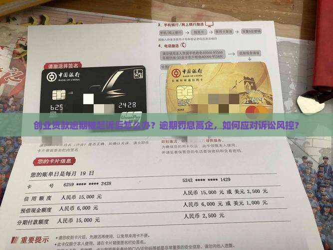 创业贷款逾期被起诉后怎么办