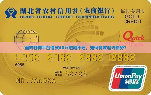各种平台借款60万还不还怎么办