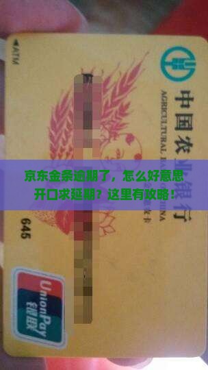 京东金条逾期申请延期流程