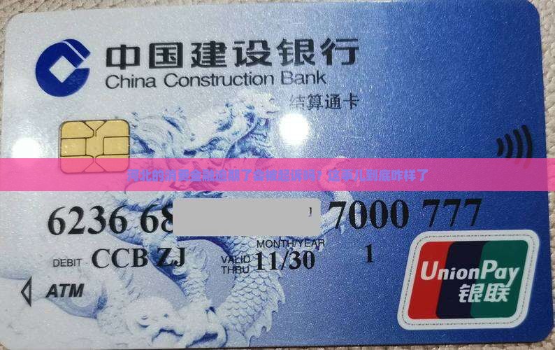 河北幸福消费金融逾期起诉率的情况如何