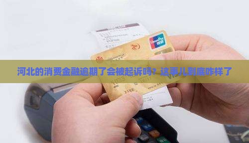 河北幸福消费金融逾期起诉率的情况如何