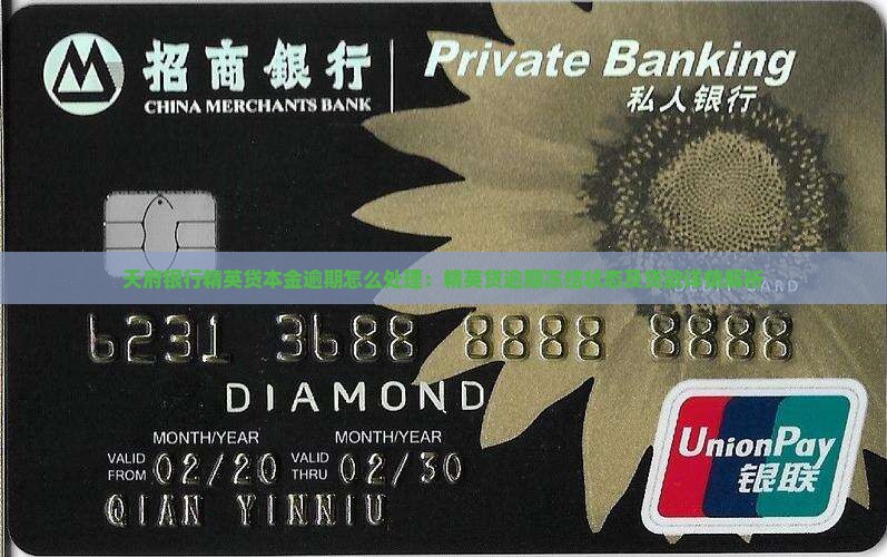 天府银行精英贷本金逾期怎么处理