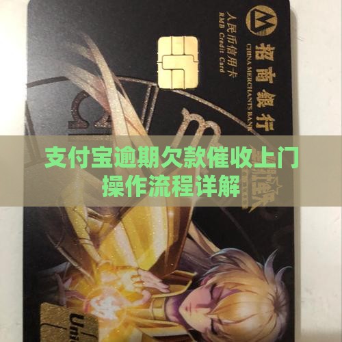 支付宝蚂蚁催收上门如何操作