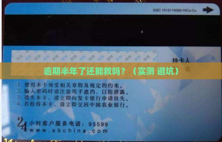 借款逾期半年了怎么办