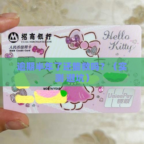 借款逾期半年了怎么办