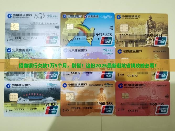欠招商银行1万5个月如何处理