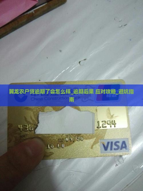 翼龙农户贷逾期了会怎么样