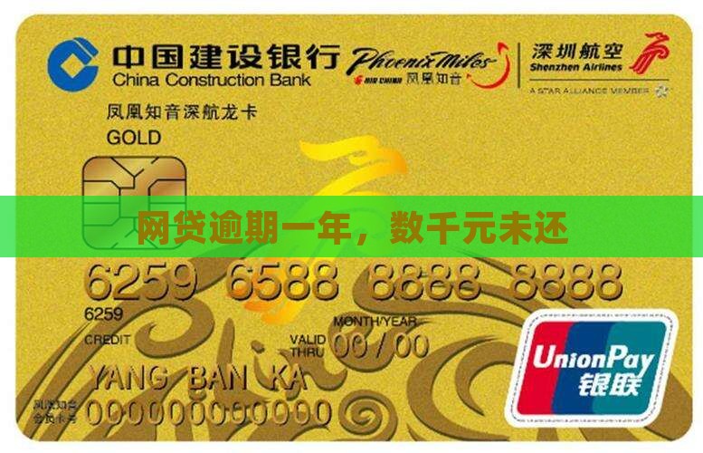 网贷借了几千元一年没还