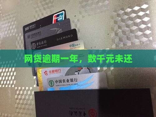网贷借了几千元一年没还