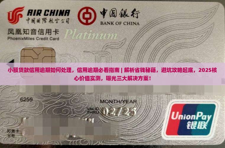 小额贷款信用逾期如何处理