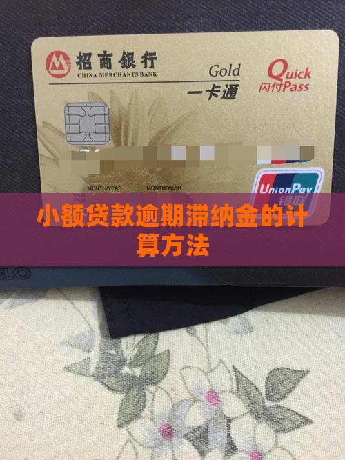 小额贷款逾期滞纳金的计算方法