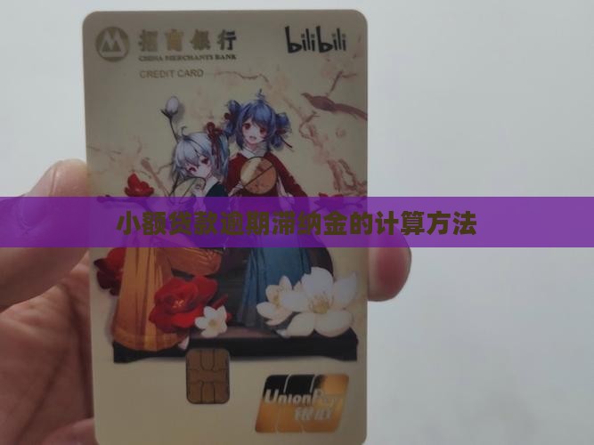 小额贷款逾期滞纳金的计算方法