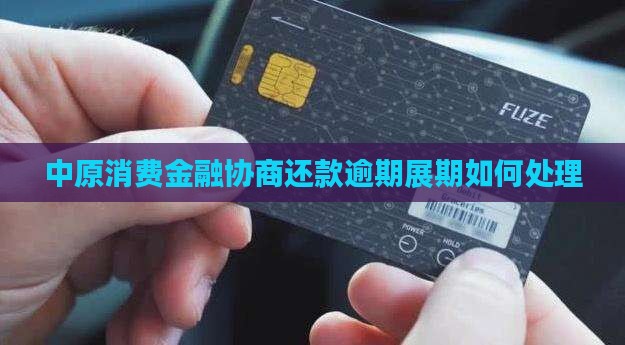 中原消费金额协商展期如何处理