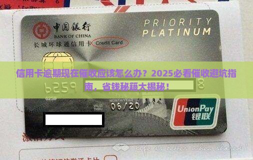 信用卡逾期现在催收应该怎么办