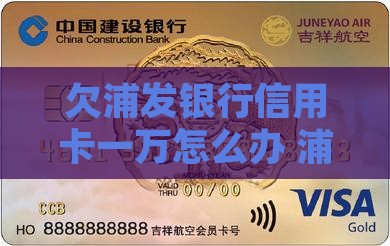 欠浦发银行信用卡一万怎么办