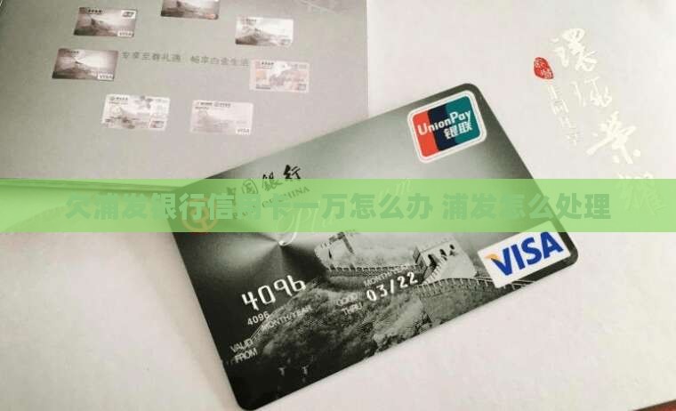 欠浦发银行信用卡一万怎么办