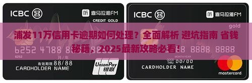 浦发11万信用卡逾期处理