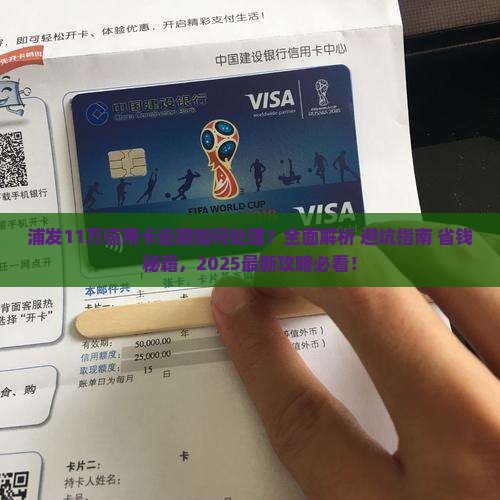 浦发11万信用卡逾期处理