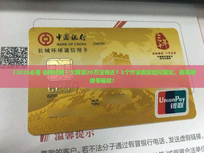 欠网贷20万没有能力还怎么办