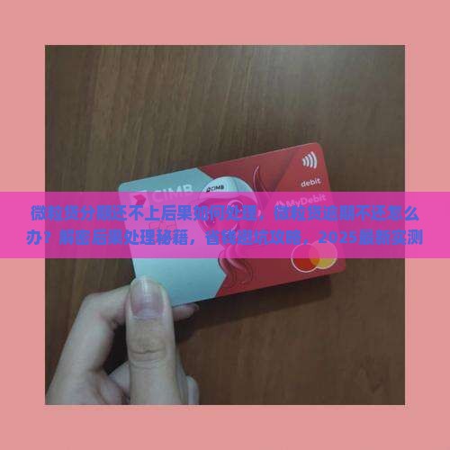 微粒贷分期还不上后果如何处理