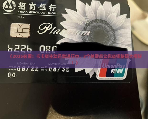 卡卡贷主动还款进行中