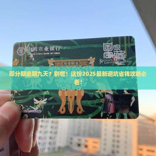 即分期逾期九天如何处理