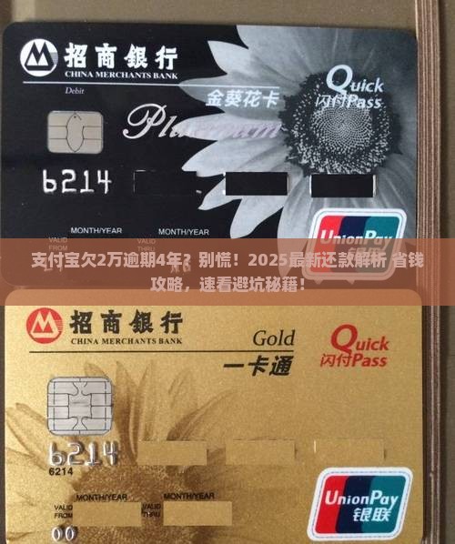 支付宝欠2万逾期4年了如何还款