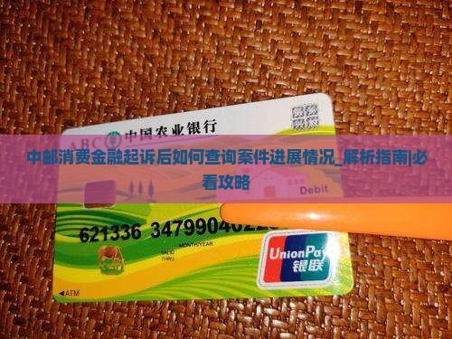 中邮消费金融起诉后如何查询案件进展情况