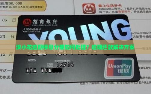 浪小花逾期停息分期如何处理