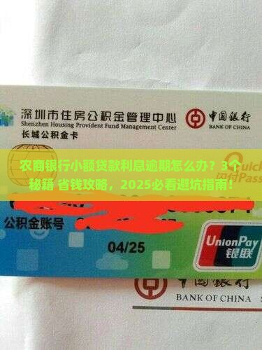农商银行小额贷款利息逾期怎么办理
