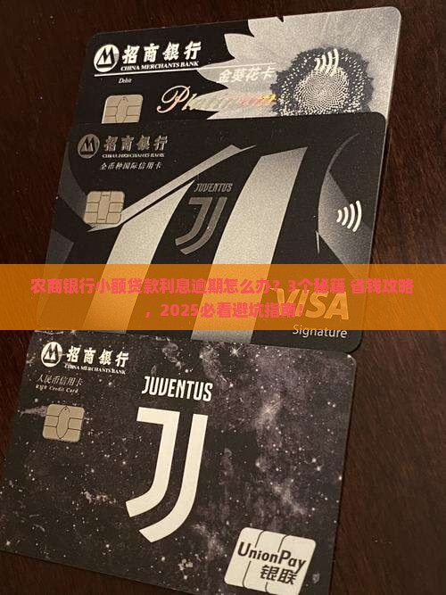 农商银行小额贷款利息逾期怎么办理