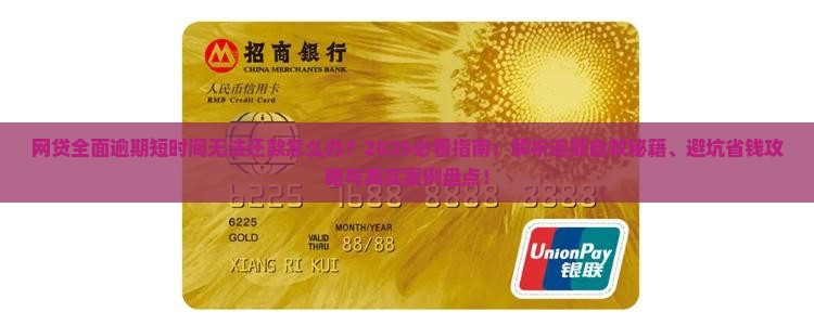 网贷全面逾期短时间无法还款怎么办