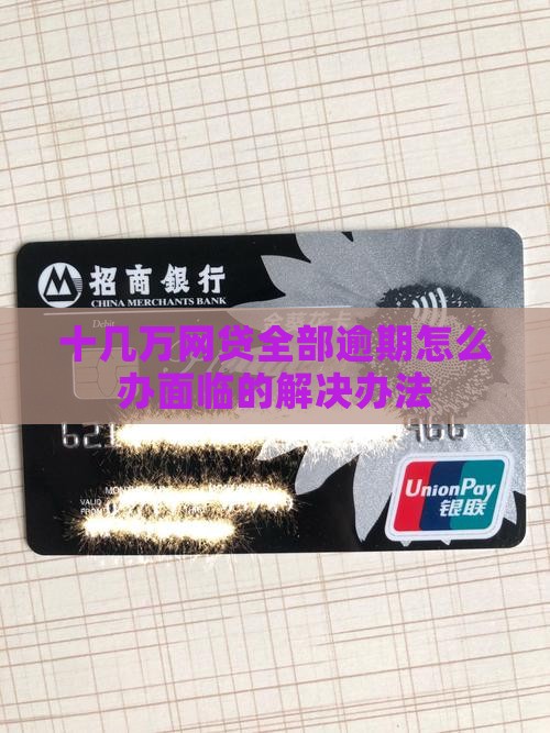 十几万网贷全部逾期怎么办面临的解决办法
