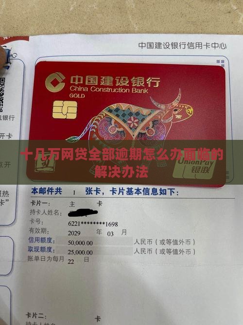 十几万网贷全部逾期怎么办面临的解决办法