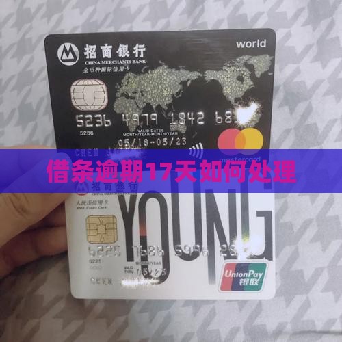 360借条逾期17天如何处理