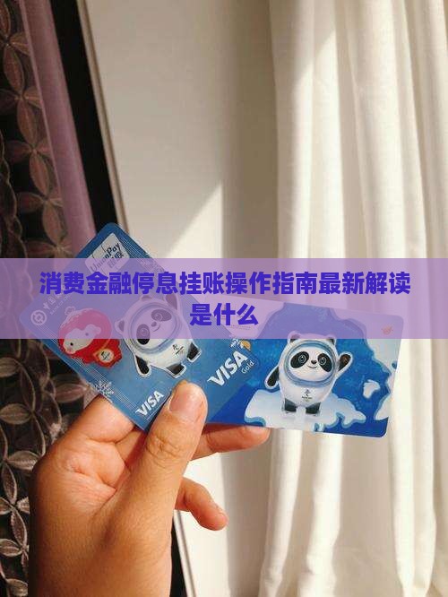 消费金融停息挂账操作指南