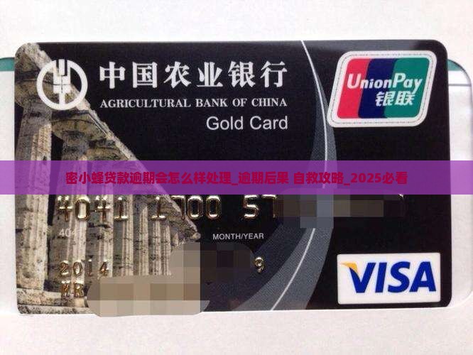 密小蜂贷款逾期会怎么样处理 密小蜂贷款逾期会怎么样处理