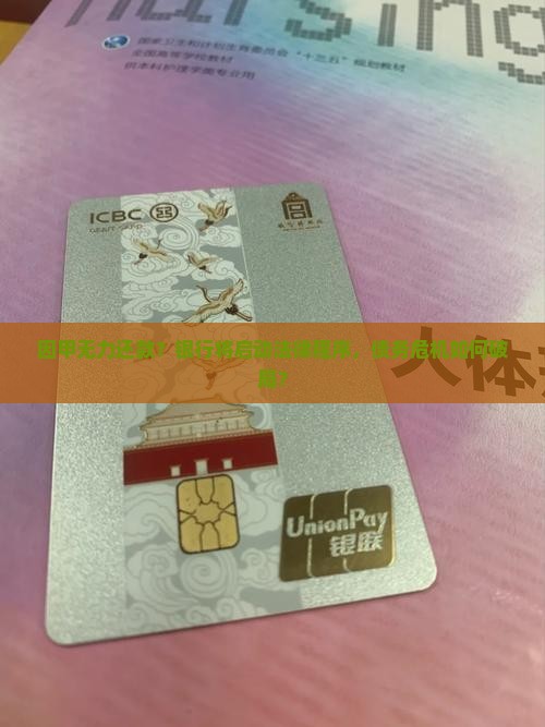 因甲无力还款银行欲行法律程序