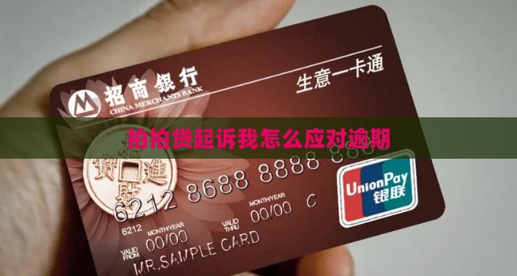 拍拍贷起诉我怎么应对