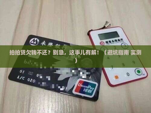 拍拍贷恶意不还怎么办