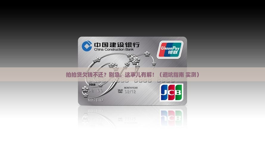 拍拍贷恶意不还怎么办