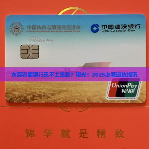 东莞农商银行还不上贷款