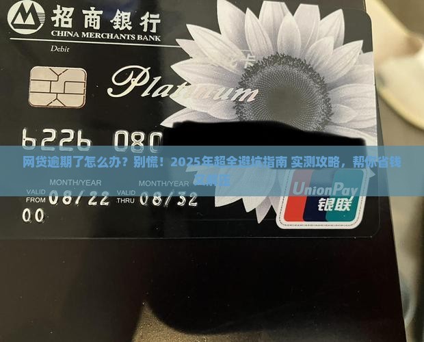 欠了网贷逾期了该怎么办