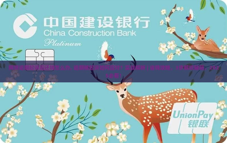 网贷逾期起诉后还钱怎么办