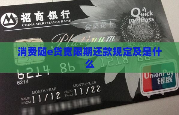 消费随e贷宽限期